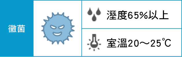 黴菌 | 濕度65%以上、室溫20～25℃
